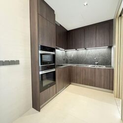 Klimt Cairnhill (D9), Apartment #532251201